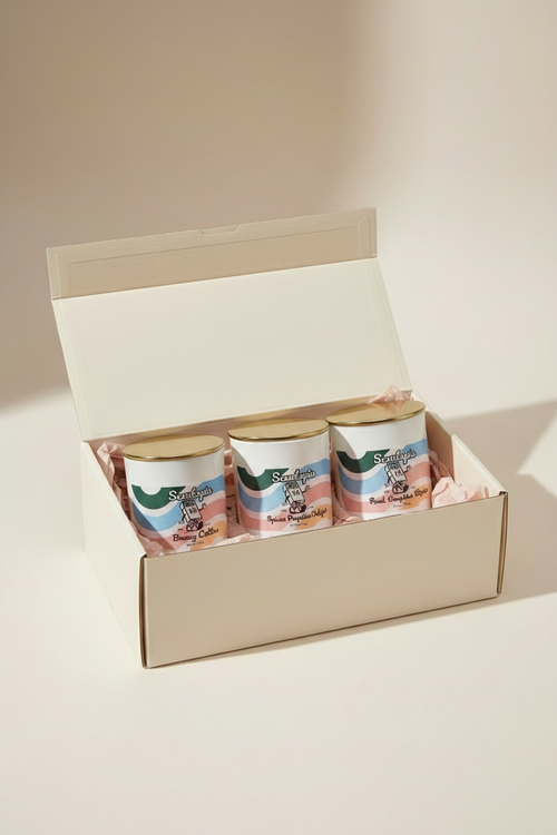 Three small cylindrical containers with lids in a cardboard box on a light background