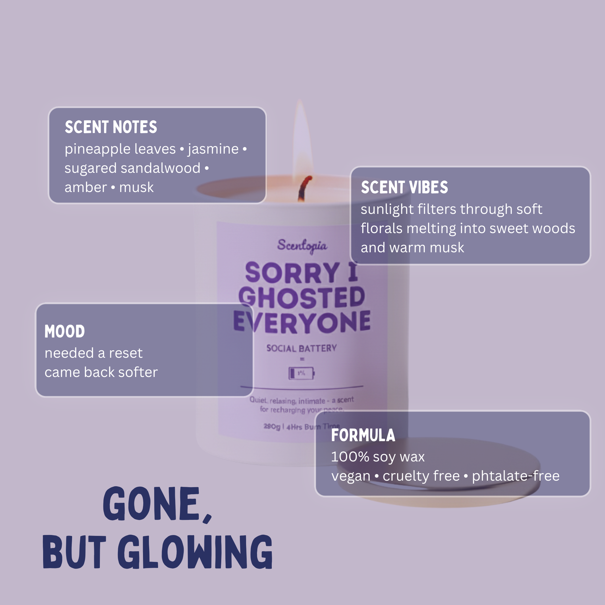 Sorry I Ghosted Everyone - Candle