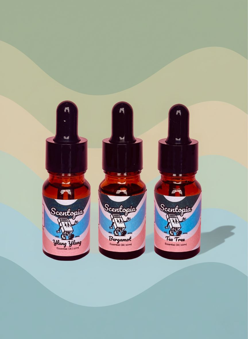Wellness Boost Bundle