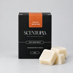 A black box of SCENTOPIA 'Autumn Symphony' soy wax melt, placed on a wooden surface against a plain light background.
