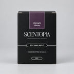 Midnight Library Wax Melt