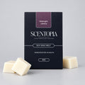 A box of Scentopia Midnight Library soy wax melt is displayed on a wooden surface, flanked by two white bars of wax.