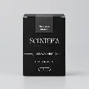 christmasmarketwaxmelt1.webp