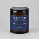 My Brain's on Airplane Mode Candle